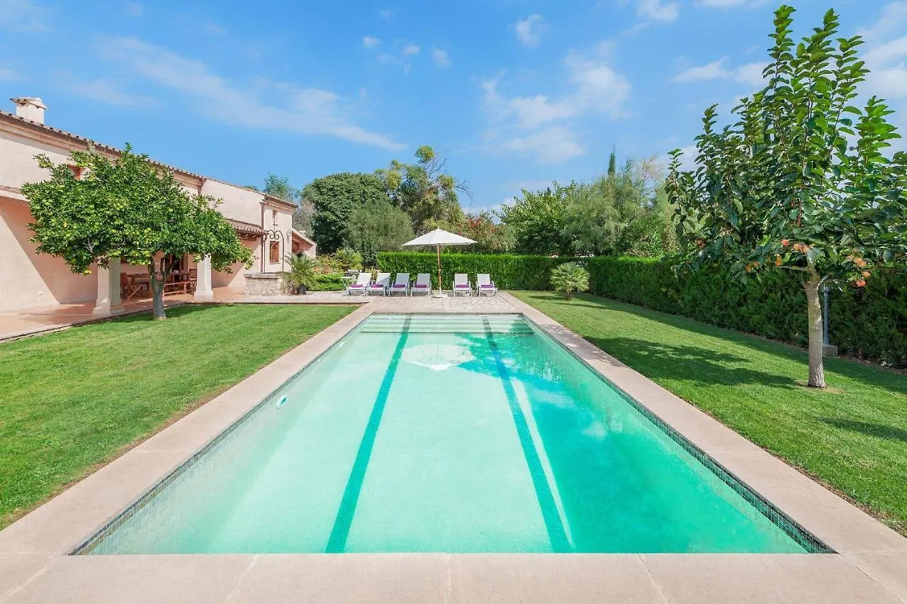 Villa Nou Pollenca 0*,
